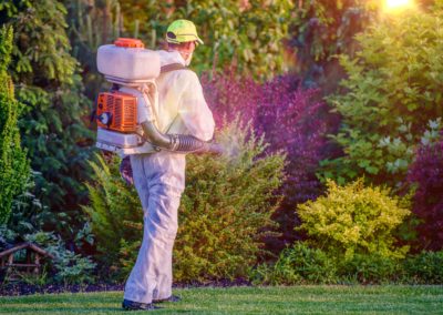 Pest control garden spraying by professional gardener who wearing safety wearing.